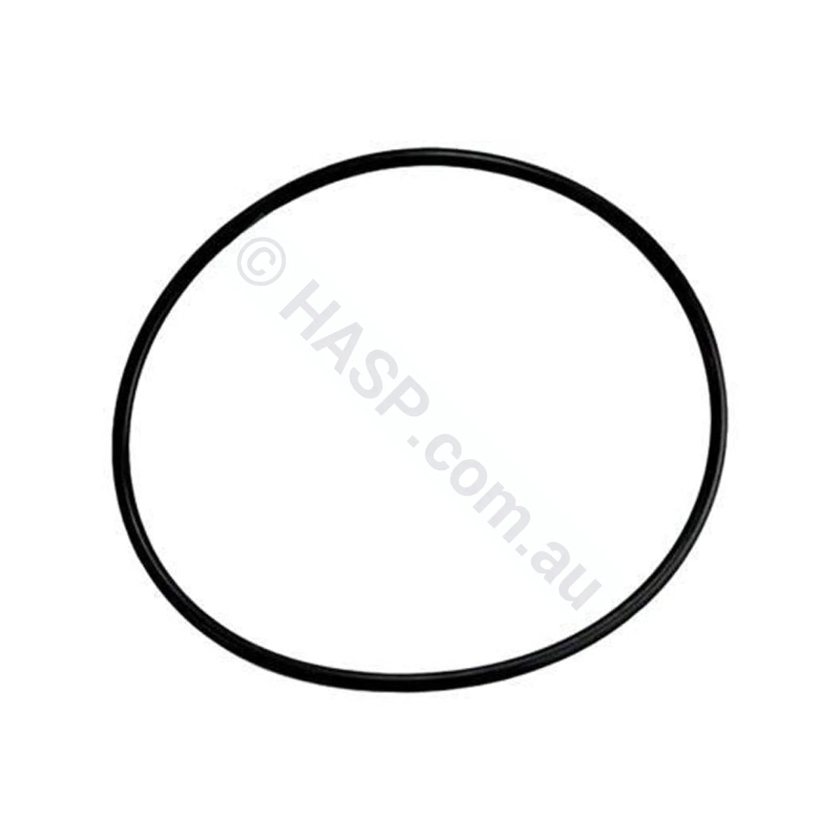 Aqua-Flo Circmaster 1/15th HP Body Casing O-Ring Seal CMCP CMHP FMHP CMCP CMXP - Pump Parts