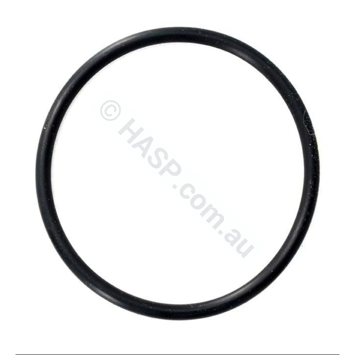 Astralpool Chlorinator Chlorinator O-Ring - 65mm tails - Heater and Spa Parts