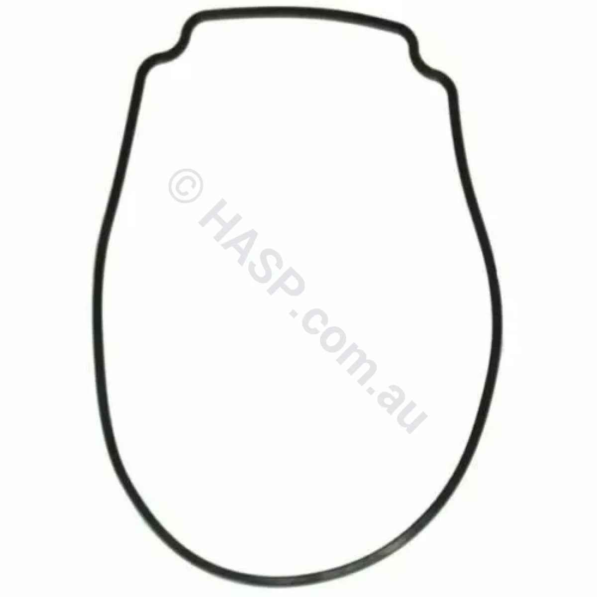 Astralpool Pump Body O-Ring / Gasket Pre 2019 Ctx | E Style Viron Xtpre Xt
