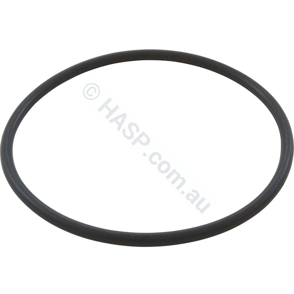 Davey Spaquip Crystal Clear Cartridge Filter - Lid O-Ring