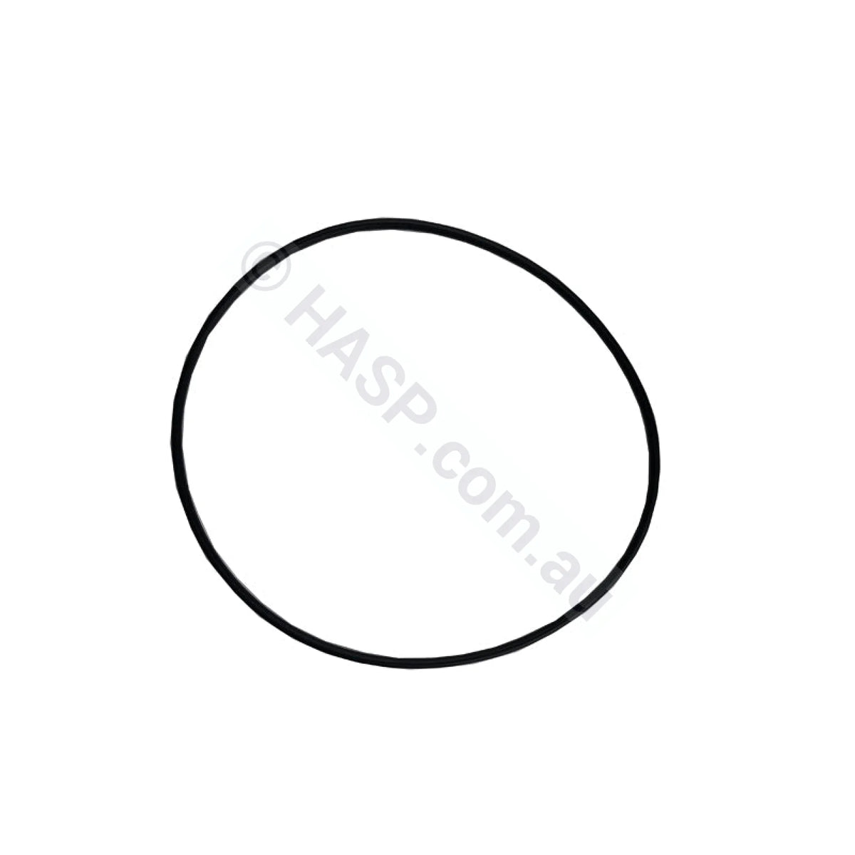 Davey QB / LX LP & WP / SpaNet XS Pump Body O-ring - Pool & Spa