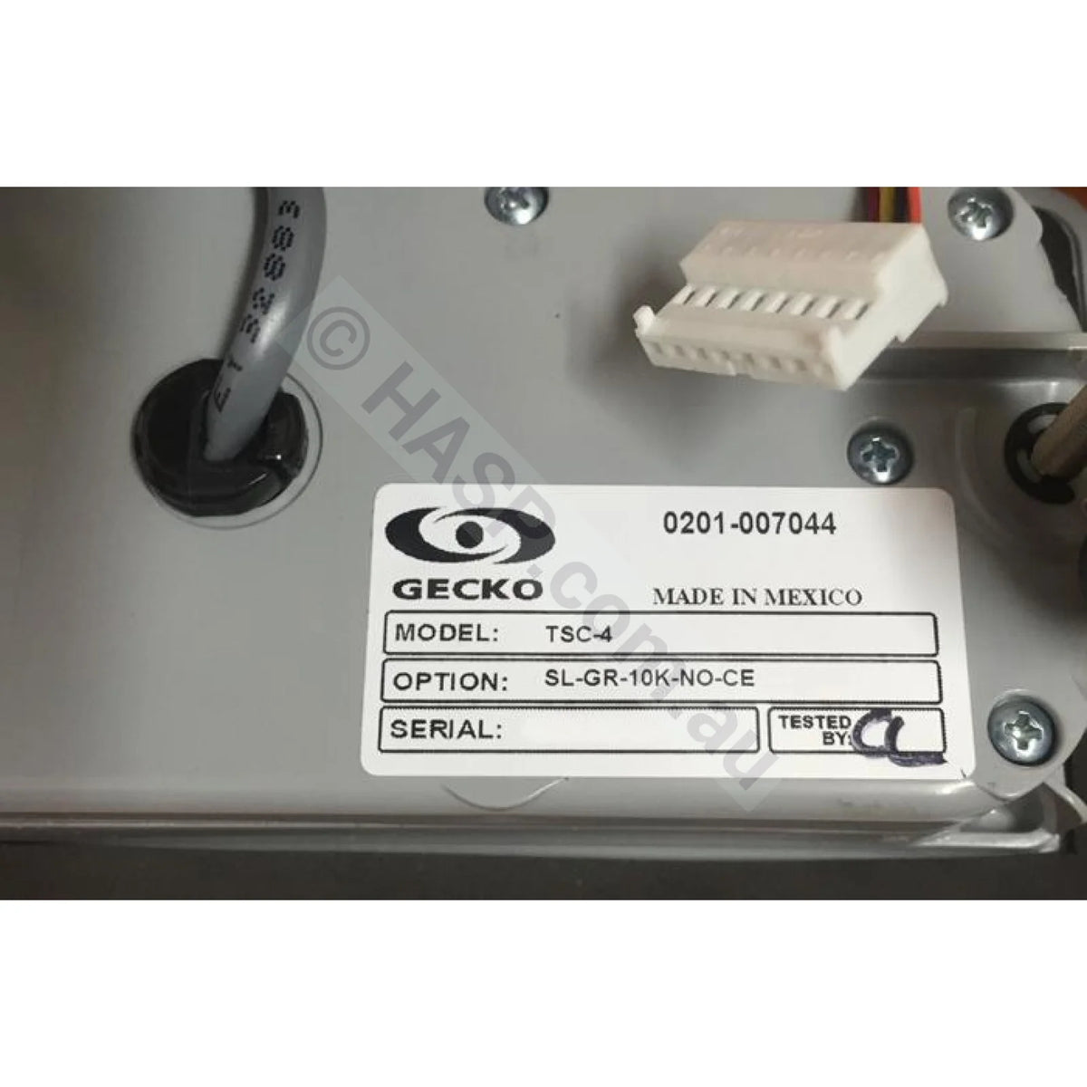 Gecko TSC-4 / K-4 Touchpad Control Panel with 10 Button Overlay - Pool & Spa