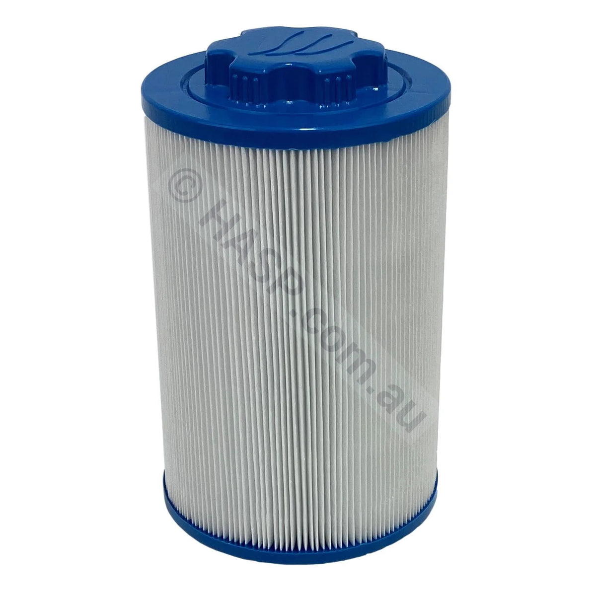 Oasis Spas / Galaxy Filter Cartridge Cam & Twist Lock Universal Pool Spa