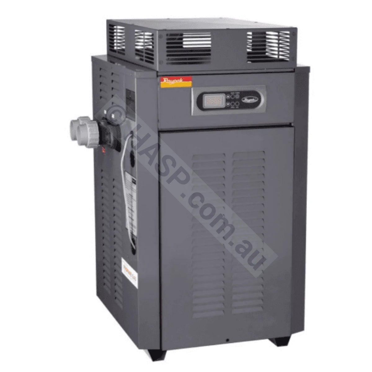 Raypak 280 Gas Pool & Spa Heater