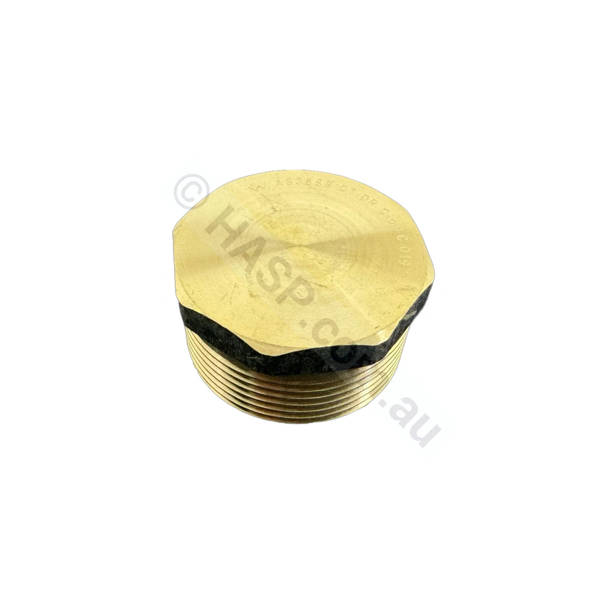 Raypak 40Mm Brass Plug