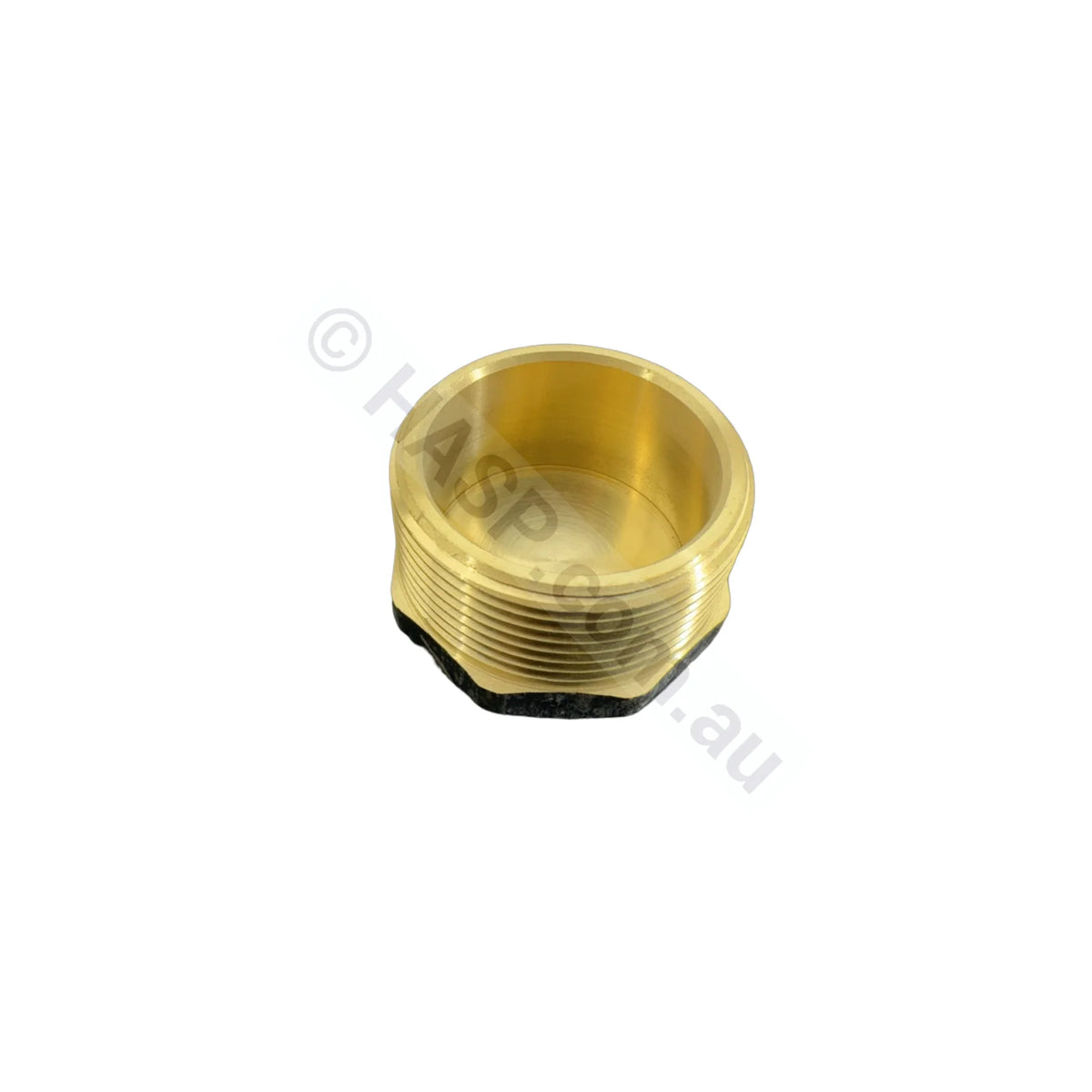 Raypak 40Mm Brass Plug
