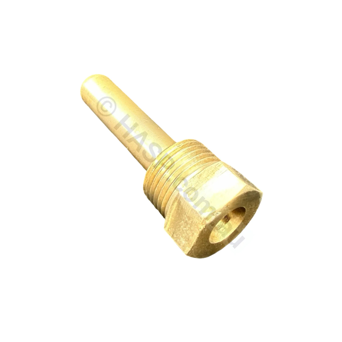 Raypak Temp Sensor Brass Well - Old Style - 12mm aka 3/8’’ BSP Thread