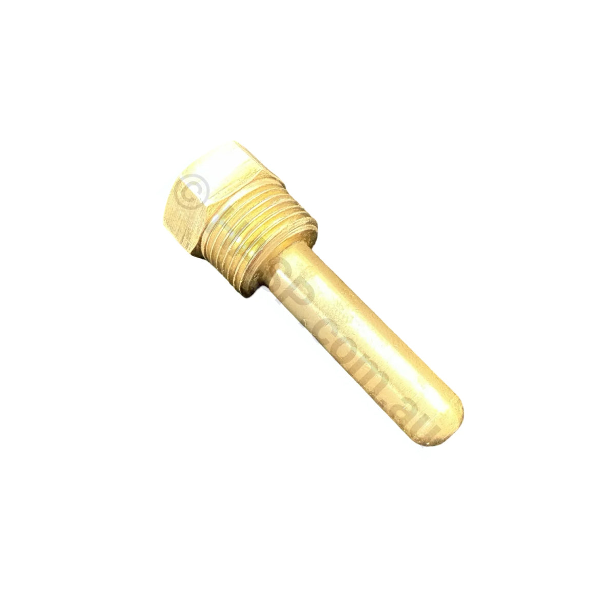Raypak Temp Sensor Brass Well - Old Style - 12mm aka 3/8’’ BSP Thread