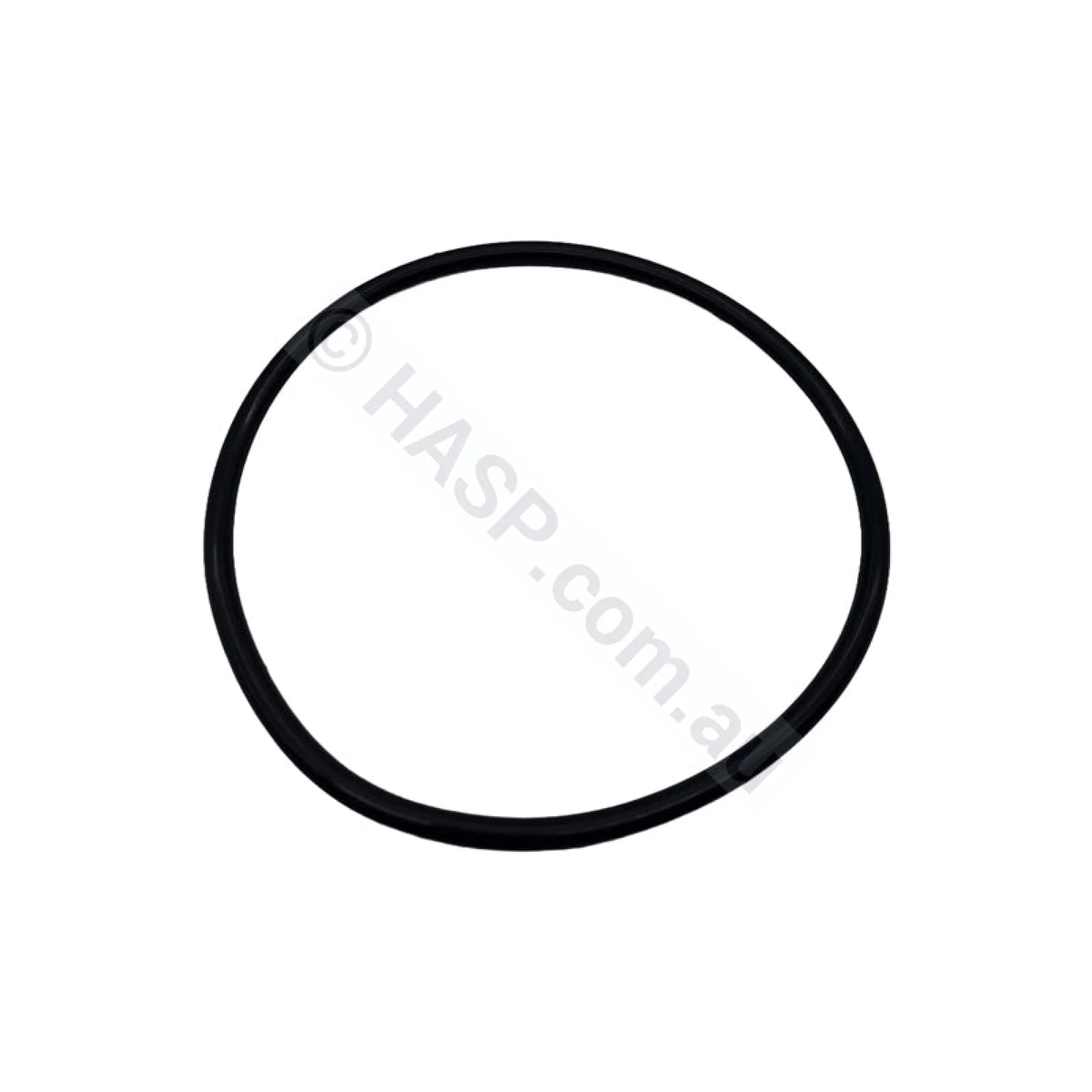 SENSAPOOL SF Pump Body O’ring