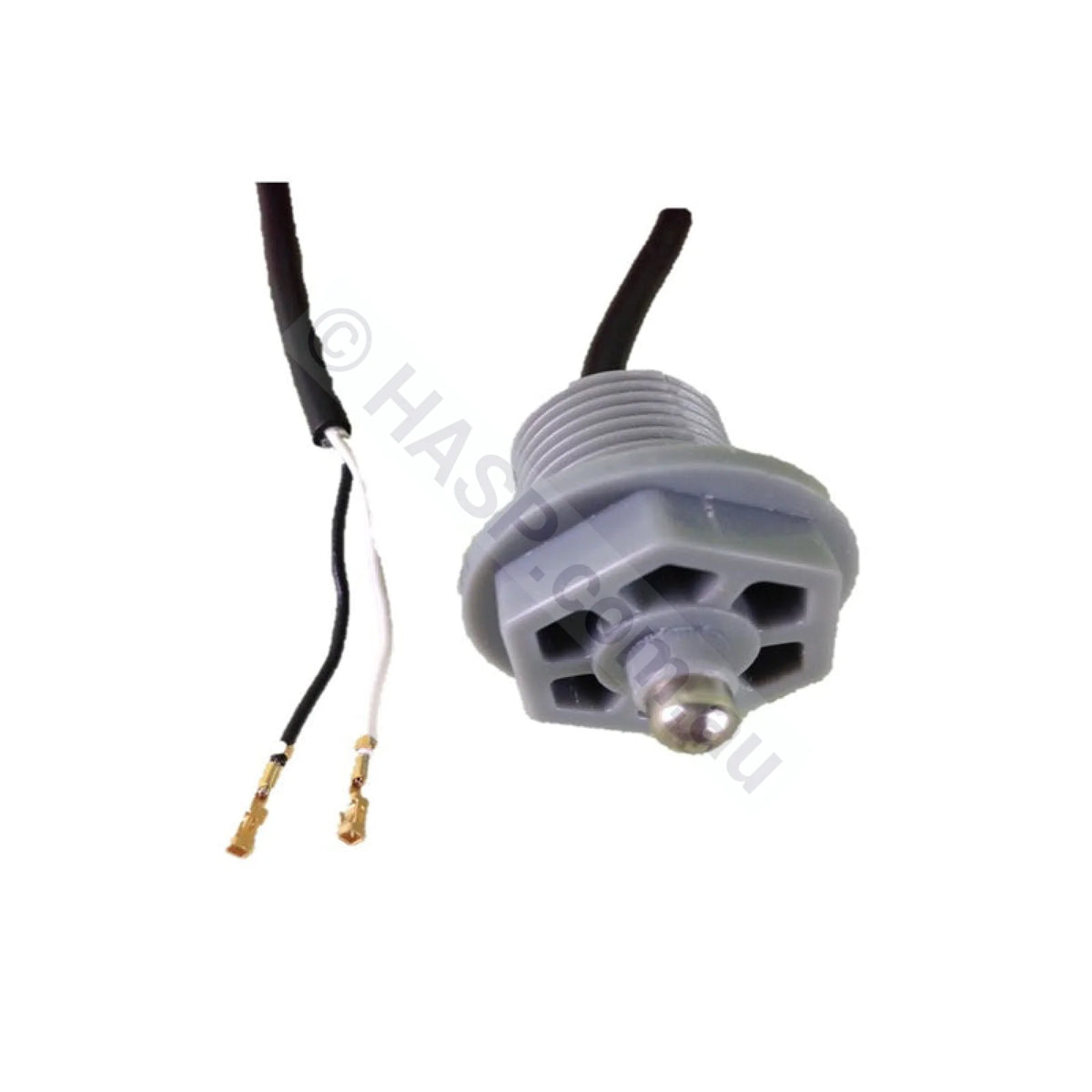 Sundance Spas In-pool Temperature Sensor