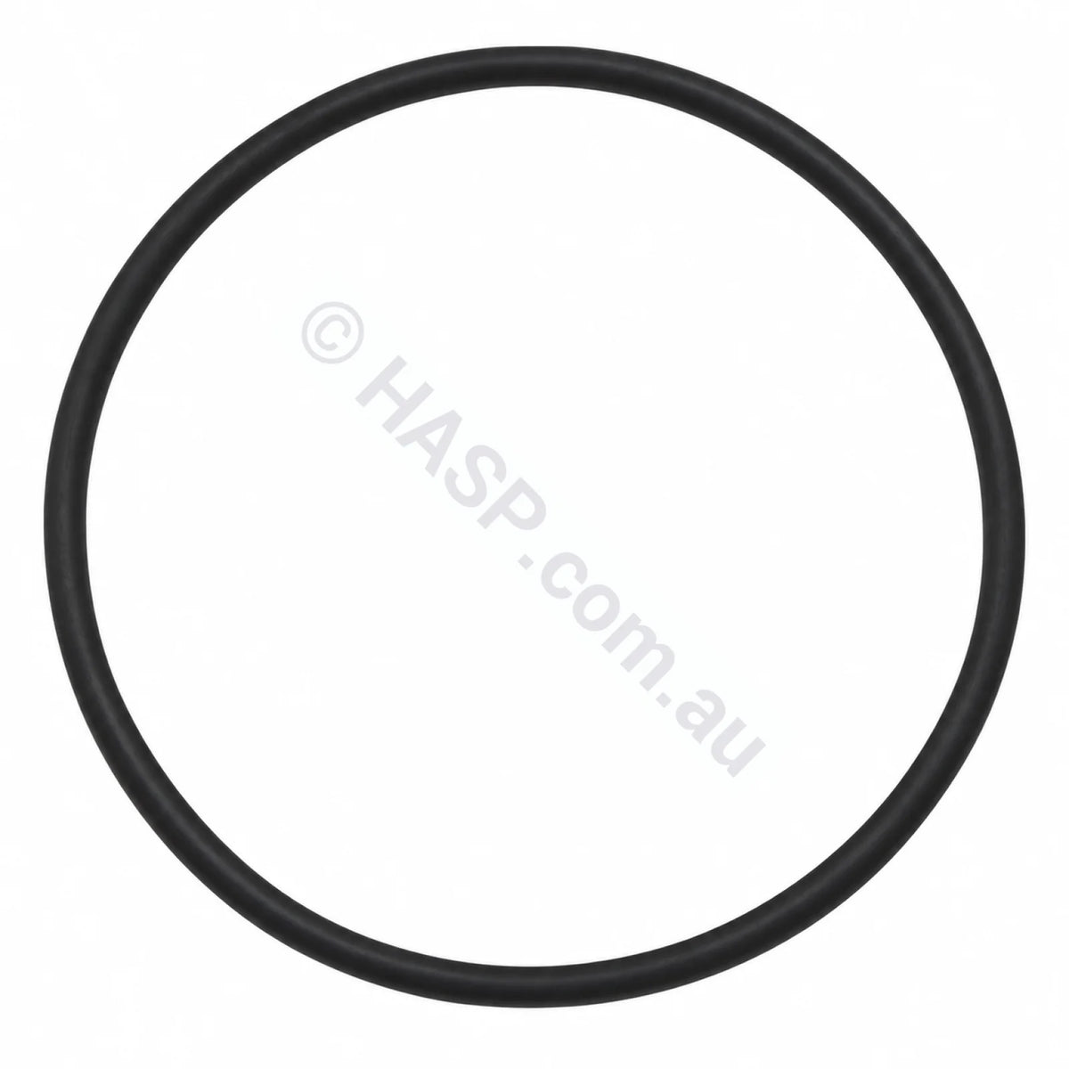 Zodiac Titan and Emaux O-Ring for Filter Neck, Clamp Type Valve W02011134