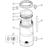 Davey CF / Monarch EcoPure Filter Lid Top - Heater and Spa Parts