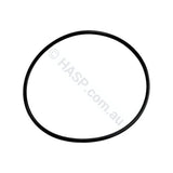 Aqua-Flo Circmaster 1/15th HP Body Casing O-Ring Seal CMCP CMHP FMHP CMCP CMXP - Pump Parts