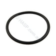 Aquaflo XP2 XP2E Waterway Pump Union O-ring - Pool & Spa