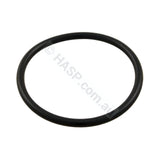 Aquaflo XP2 XP2E Waterway Pump Union O-ring - Pool & Spa