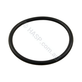 Aquaflo XP2 XP2E Waterway Pump Union O-ring - Pool & Spa
