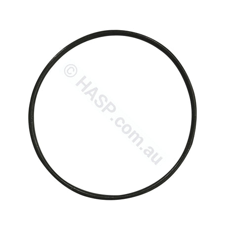 Astralpool Bx / P300 P600 Lid O-Ring Seal