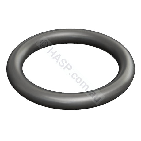 Hurlcon Astralpool HX JX WX MX Bypass Plunger O Ring Seal - Heater and Spa Parts