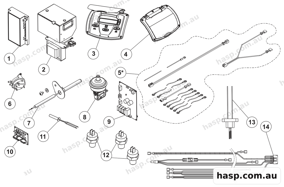 AstralPool IXI GAS HEATERS - ELECTRICAL SYSTEM Spare Parts