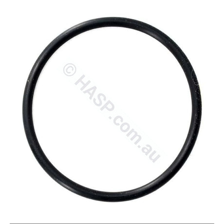 Astralpool Chlorinator Chlorinator O-Ring - 65mm tails - Heater and Spa Parts