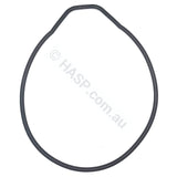 Astralpool Pump Body O-Ring / Gasket