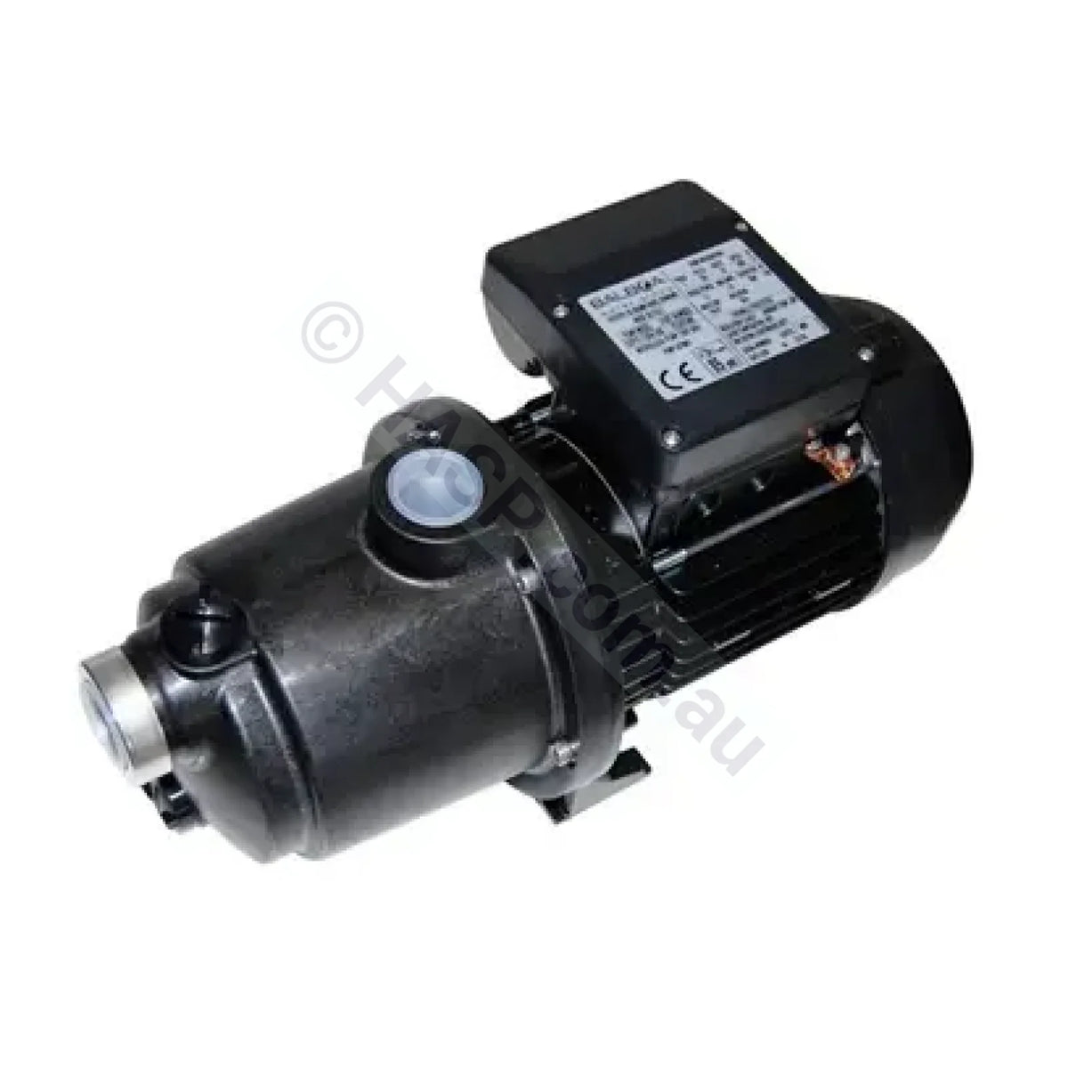 Balboa / Pentair Microsilk Spa Pump