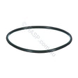 Davey CF / Monarch EcoPure Filter Lid O-Ring Seal - Heater and Spa Parts