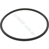 Davey Spaquip Crystal Clear Cartridge Filter - Lid O-Ring