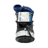 Gecko Maelstrom CMS-1 Circulation Pump 0.25hp /.12hp - Circmaster Replacement