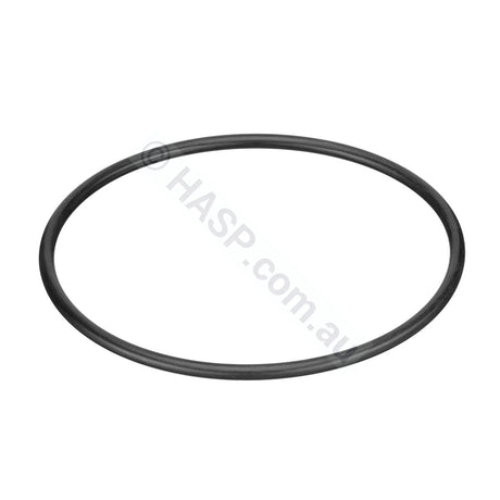 Henden Pump Lid O-Ring (HSSP)