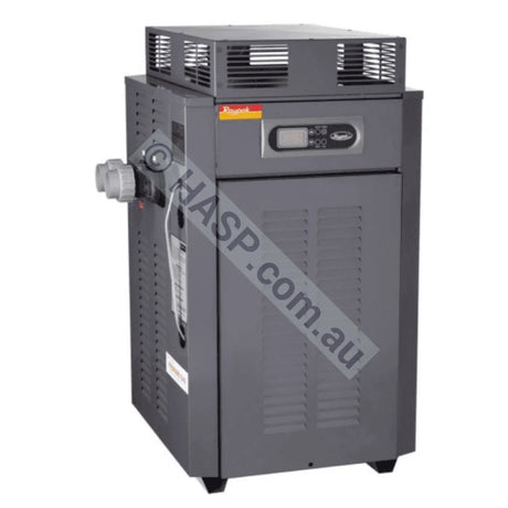 Raypak 280 Gas Pool & Spa Heater