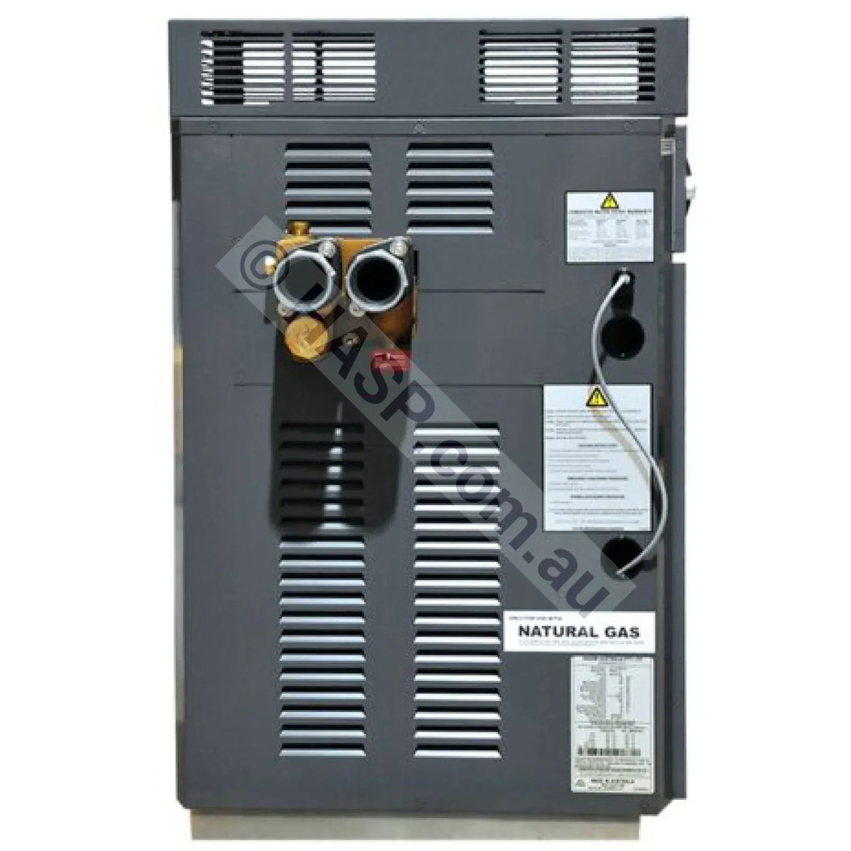 Raypak 280 Premium Gas Pool & Spa Heater - LPG