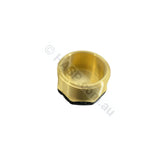 Raypak 40Mm Brass Plug