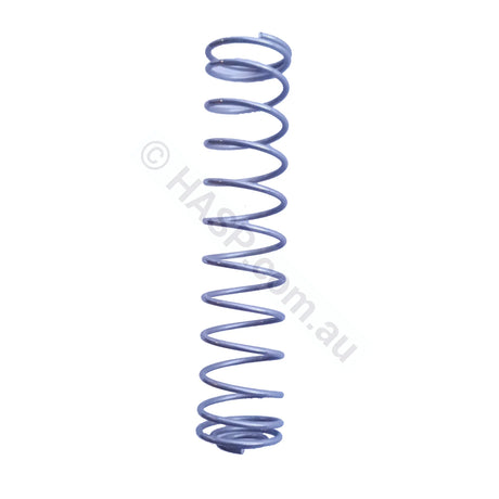 Raypak Bypass Spring 347-427 - 56850293 - Heater and Spa Parts