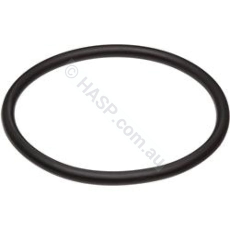 Raypak Heater Barrel Union - O-ring - Heater and Spa Parts