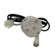 Rising Dragon 4 LED Master Light 4 Wire