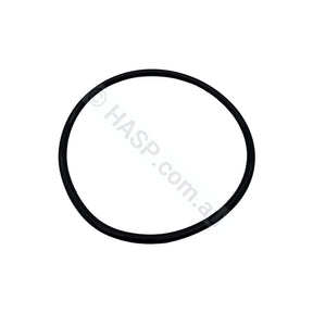 SENSAPOOL SF Pump Body O’ring