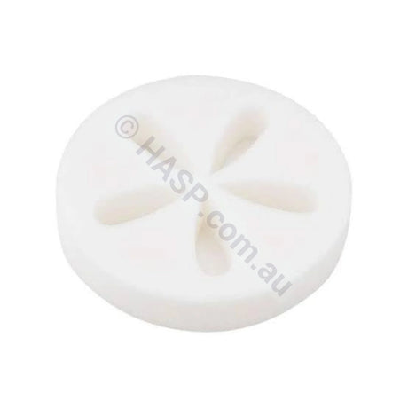 Spa Disk - Oil & Scum Floating Sponge