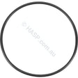 Spa-quip Compact Filter Lid O-ring - Q2032