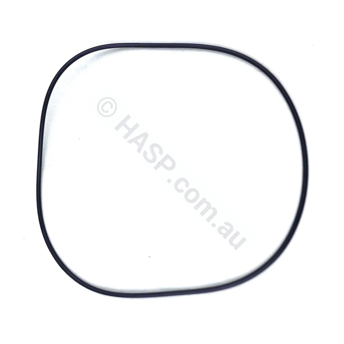 Waterco Portapac Body O’ring