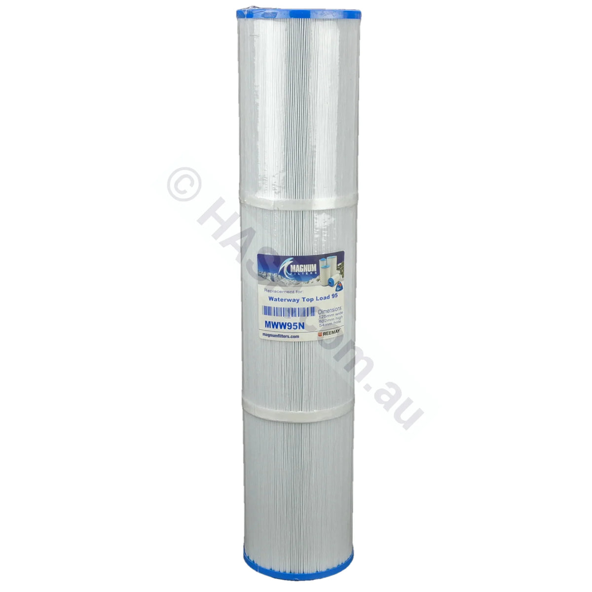 Waterco / Waterway 75ft² / 100ft² Filter Cartridge - AKA Rainbow RTL75