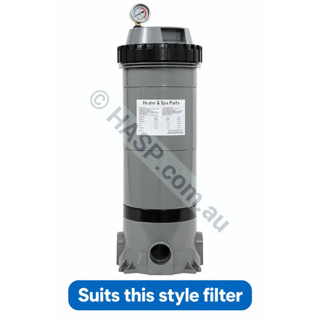 Zodiac (Titan CF) Emaux and Neptune CF Series Cartridge Filter Pressure Release Valve - W89060109 - Filter Parts