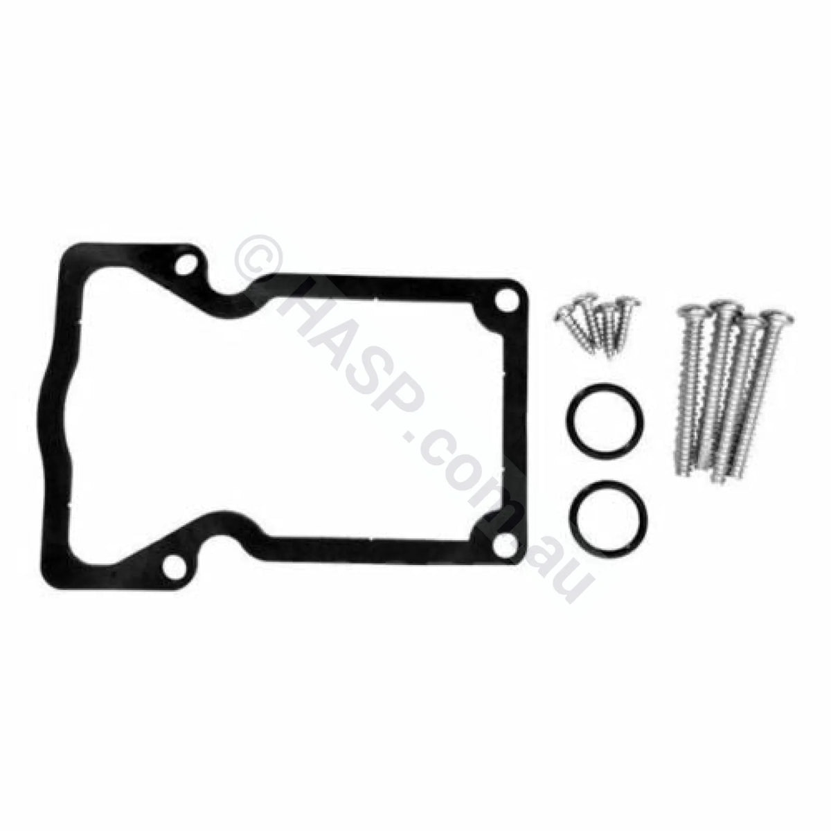 Zodiac Jandy Valve Actuator Gasket & Screw Set Plumbing Fittings