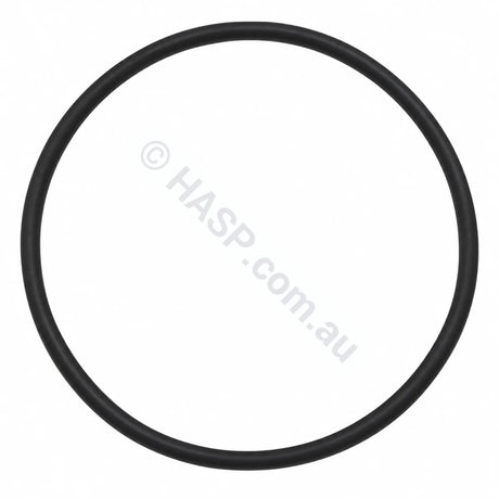 Zodiac, Emaux, Neptune and Magna-Flo cartridge filter lid o-ring W02011034