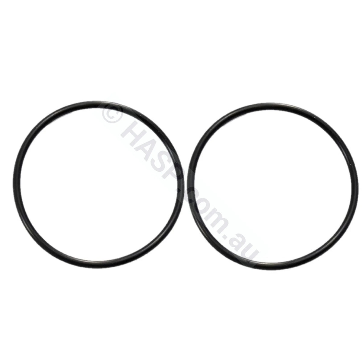 Zodiac Tri O-Ring R0737700