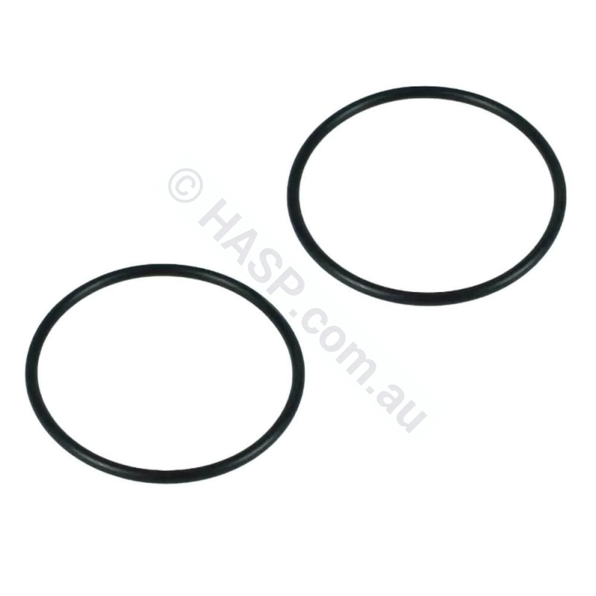 Zodiac Tri O-Ring R0737700