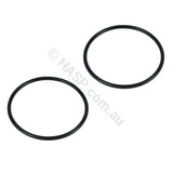 Zodiac Tri O-Ring R0737700